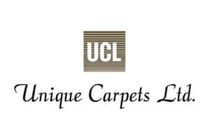 hausers-brand-flooring-wall-to-wall-carpet-unique